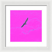 Black Birdie In Pink Sky - Framed Print