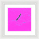 Black Birdie In Pink Sky - Framed Print