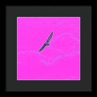 Black Birdie In Pink Sky - Framed Print