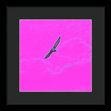 Black Birdie In Pink Sky - Framed Print