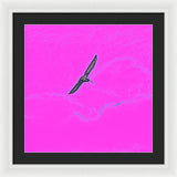 Black Birdie In Pink Sky - Framed Print