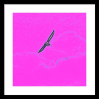 Black Birdie In Pink Sky - Framed Print