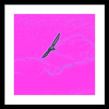 Black Birdie In Pink Sky - Framed Print