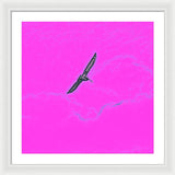 Black Birdie In Pink Sky - Framed Print