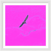 Black Birdie In Pink Sky - Framed Print