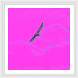 Black Birdie In Pink Sky - Framed Print