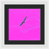 Black Birdie In Pink Sky - Framed Print