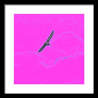 Black Birdie In Pink Sky - Framed Print