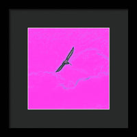 Black Birdie In Pink Sky - Framed Print