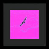 Black Birdie In Pink Sky - Framed Print