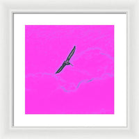 Black Birdie In Pink Sky - Framed Print