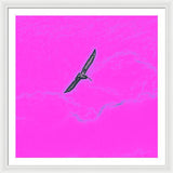 Black Birdie In Pink Sky - Framed Print