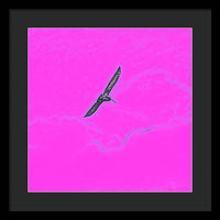 Black Birdie In Pink Sky - Framed Print