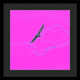 Black Birdie In Pink Sky - Framed Print