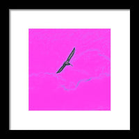 Black Birdie In Pink Sky - Framed Print