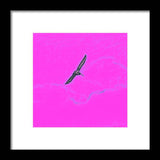 Black Birdie In Pink Sky - Framed Print