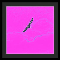 Black Birdie In Pink Sky - Framed Print