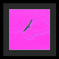 Black Birdie In Pink Sky - Framed Print