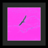 Black Birdie In Pink Sky - Framed Print