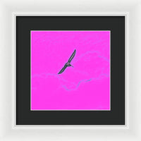 Black Birdie In Pink Sky - Framed Print