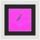 Black Birdie In Pink Sky - Framed Print