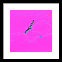 Black Birdie In Pink Sky - Framed Print