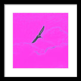 Black Birdie In Pink Sky - Framed Print