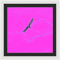 Black Birdie In Pink Sky - Framed Print