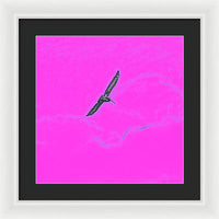 Black Birdie In Pink Sky - Framed Print