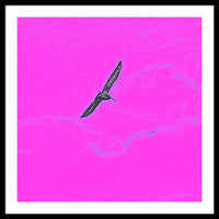 Black Birdie In Pink Sky - Framed Print