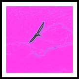 Black Birdie In Pink Sky - Framed Print