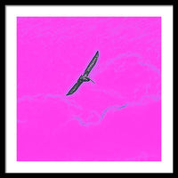 Black Birdie In Pink Sky - Framed Print