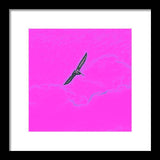 Black Birdie In Pink Sky - Framed Print