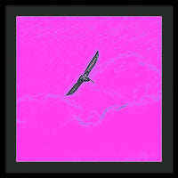 Black Birdie In Pink Sky - Framed Print