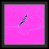 Black Birdie In Pink Sky - Framed Print