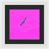 Black Birdie In Pink Sky - Framed Print