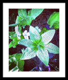 Light Beaming Green Flowers - Framed Print