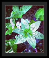 Light Beaming Green Flowers - Framed Print