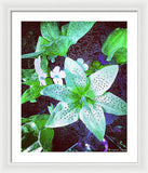 Light Beaming Green Flowers - Framed Print