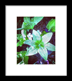 Light Beaming Green Flowers - Framed Print