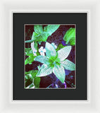 Light Beaming Green Flowers - Framed Print