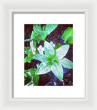 Light Beaming Green Flowers - Framed Print