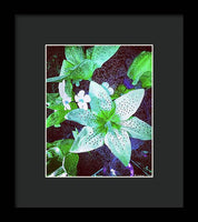 Light Beaming Green Flowers - Framed Print