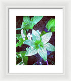 Light Beaming Green Flowers - Framed Print