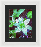 Light Beaming Green Flowers - Framed Print