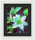 Light Beaming Green Flowers - Framed Print