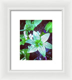 Light Beaming Green Flowers - Framed Print