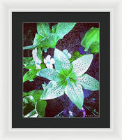 Light Beaming Green Flowers - Framed Print