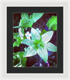 Light Beaming Green Flowers - Framed Print