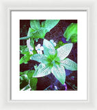 Light Beaming Green Flowers - Framed Print